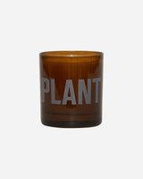 Houseplant Glass Candle Brown Home Decor Candles HP23CANDLE1 BROWN